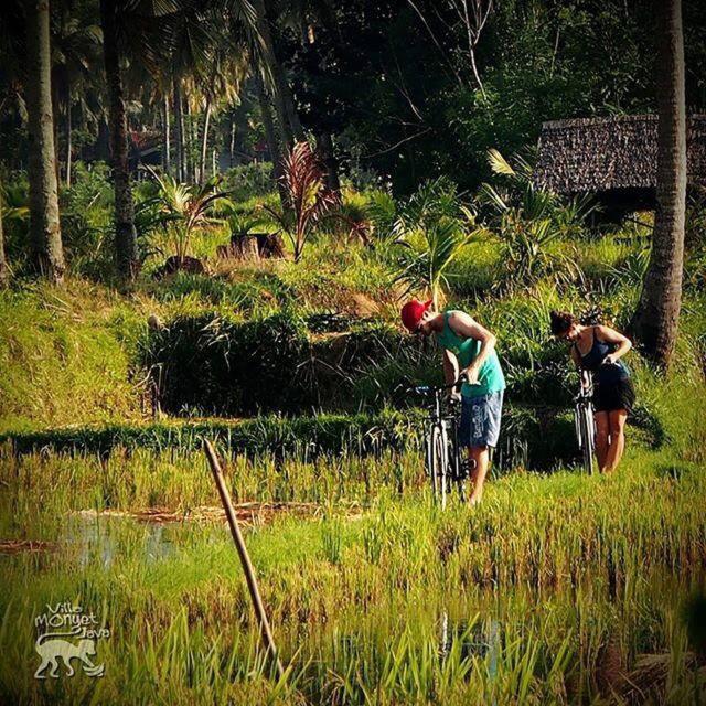 BK Homestay, Batukaras Luaran gambar